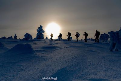 Randonnée en ski Altaï - Laponie - Finlande