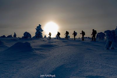 Voyage Au cœur de la taïga lapone 2