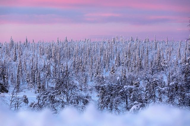 Voyage Aventures same au lac Inari