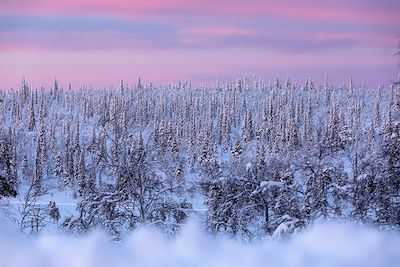 Région d'Inari-Saariselkä - Laponie - Finlande