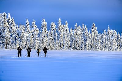 Ski nordique - Finlande