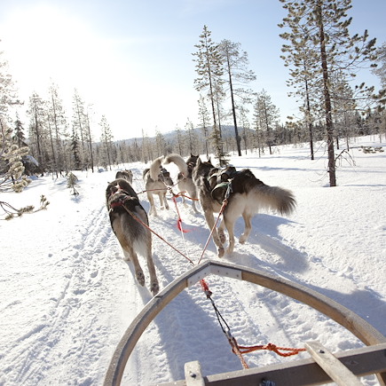 Multi-activités Finlande Laponie finlandaise