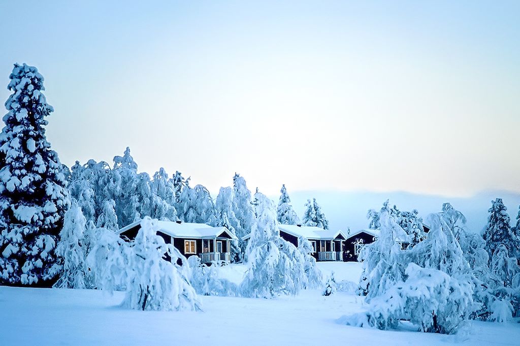 Image Finlande en famille - Forêt boréale - Chien de traineau Laponie