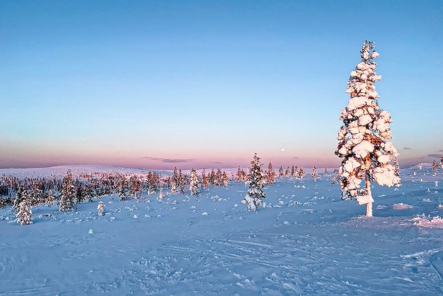 Voyage : Au cœur des montagnes de Kiilopää Voyage Au cœur des montagnes de Kiilopää