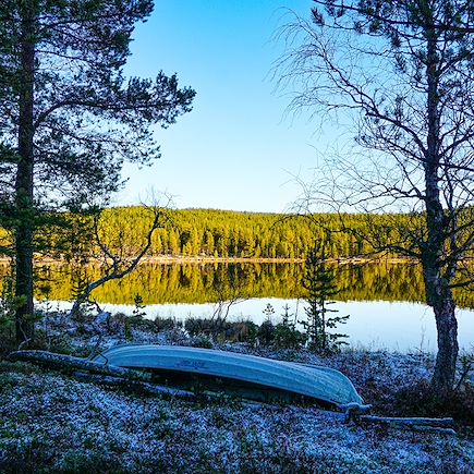 Aurores boréales Finlande Laponie finlandaise