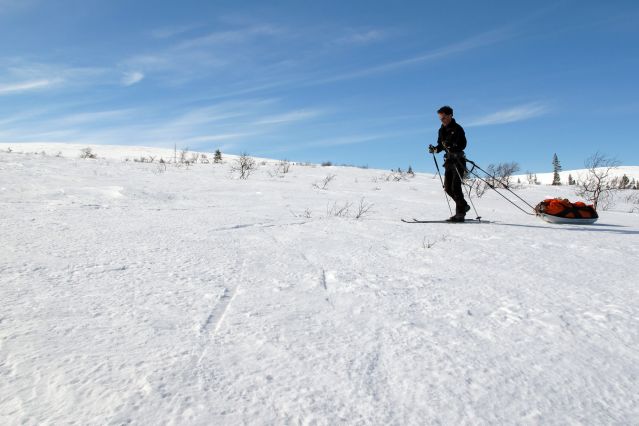 Image Ski, pulka et bivouac à travers la Laponie
