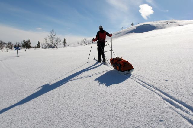 Voyage Ski, pulka et bivouac à travers la Laponie