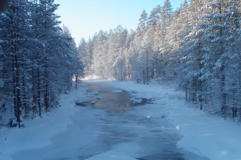 Image Voyage Finlande - Randonnée raquettes - Hossa