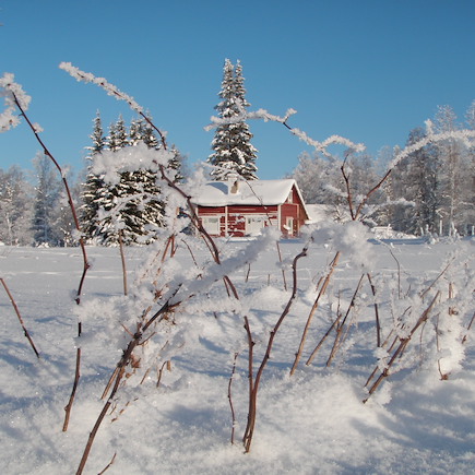 Raquette Finlande