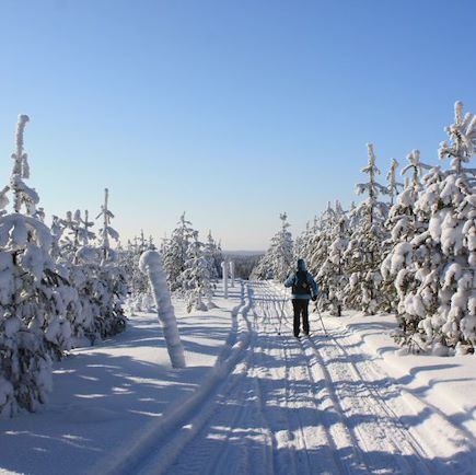 Ski de fond Finlande