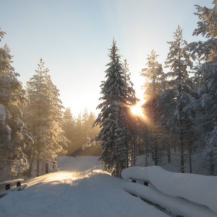 Ski de fond Finlande