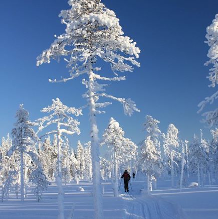 Ski de fond Finlande