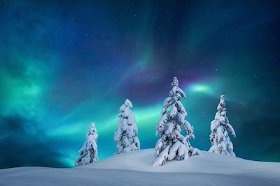 © borchee / iStock - Aurore boréale - Finlande Aurore boréale - Finlande