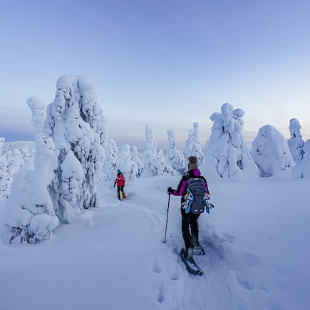 Multi-activités Finlande Laponie finlandaise