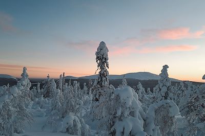 Laponie finlandaise - Finlande