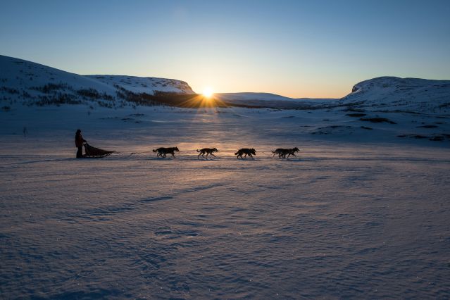 Voyage à la neige : Traîneaux à chiens et aurores boréales