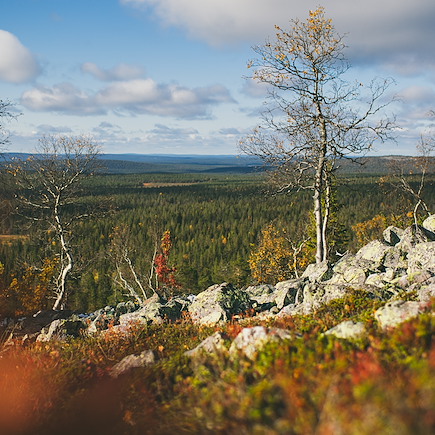 Multi-activités Finlande Laponie finlandaise
