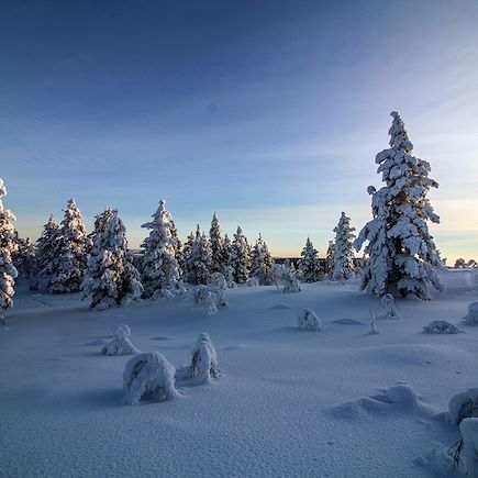 Aurores boréales Finlande Laponie finlandaise