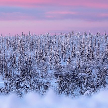 Aurores boréales Finlande Laponie finlandaise