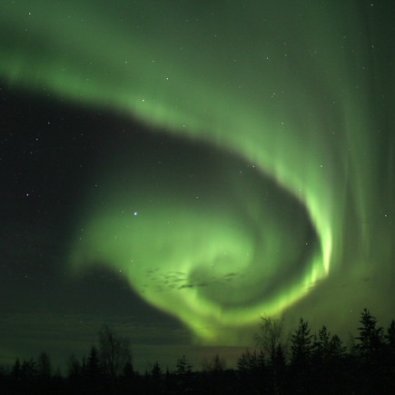 Observation animalière Finlande