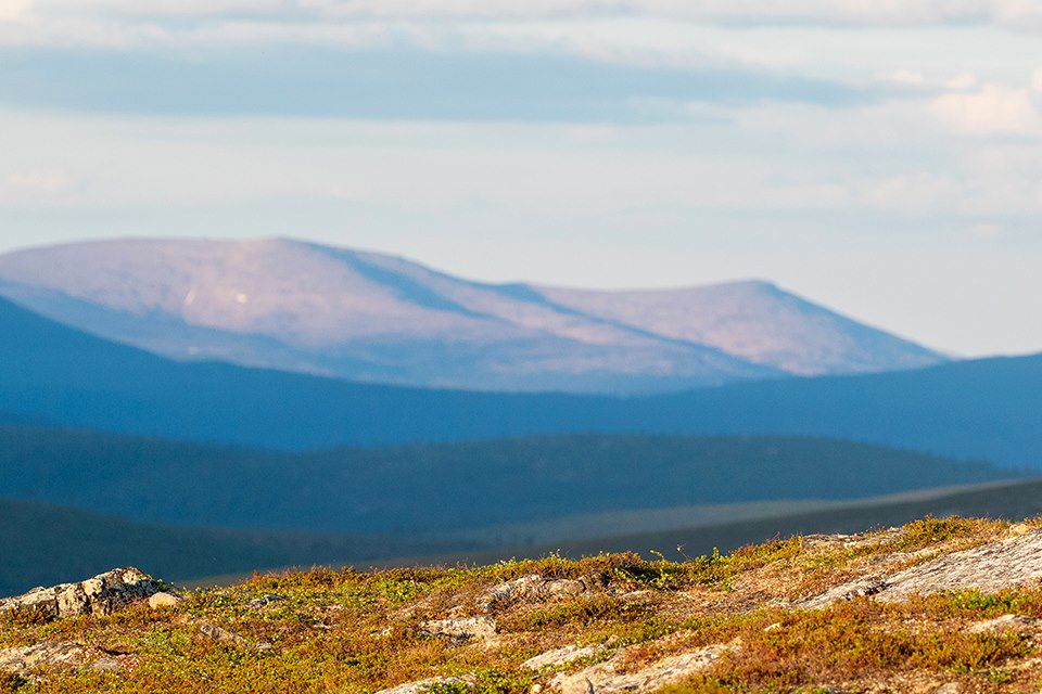 Image Voyage en Laponie - Kiilopää - Randonnée - Inari