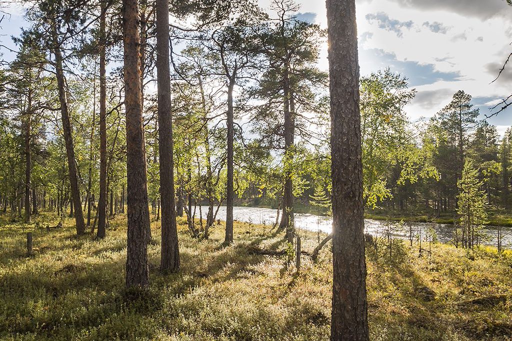 Image Voyage en Laponie - Kiilopää - Randonnée - Inari