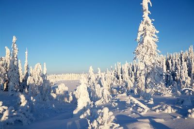 Région du Kainuu - Finlande