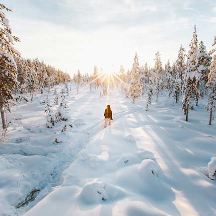 Aurores boréales Finlande