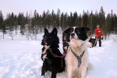 Laponie-Finlande-Europe du Nord