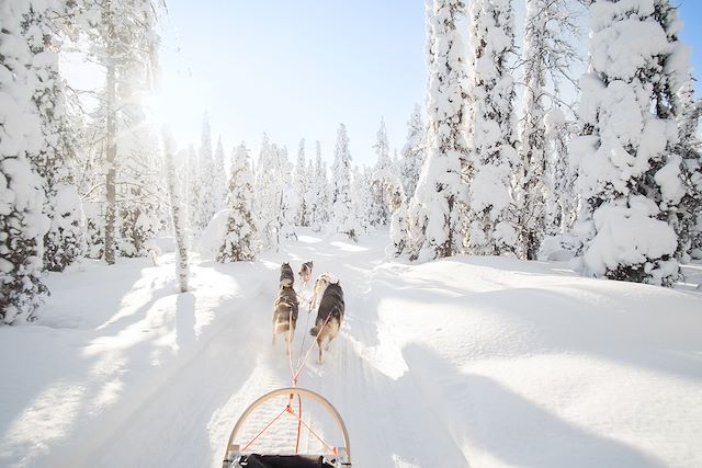 Traîneau à chiens Finlande