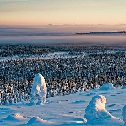 Aurores boréales Finlande Laponie finlandaise