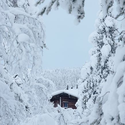 Aurores boréales Finlande Laponie finlandaise