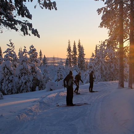 Ski de fond Finlande Laponie finlandaise