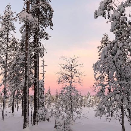 Ski de fond Finlande Laponie finlandaise