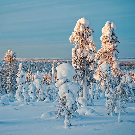 Ski de fond Finlande Laponie finlandaise