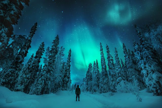 Voyage Laponie : au cœur de l'hiver
