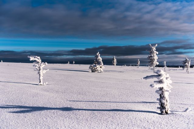 Image Aurores boréales de Laponie