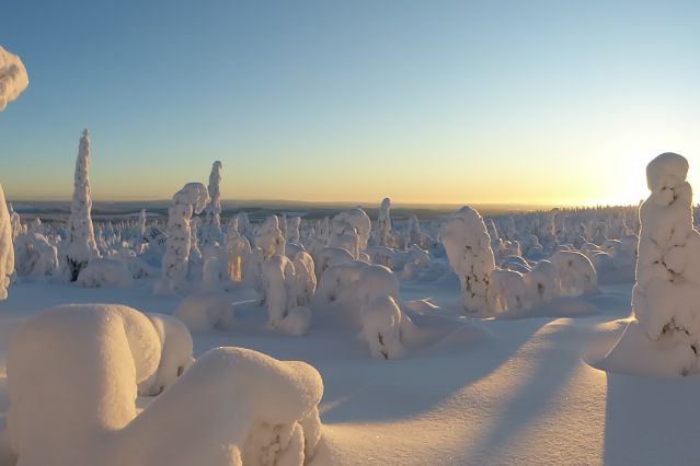 Paljakkavaara - Laponie