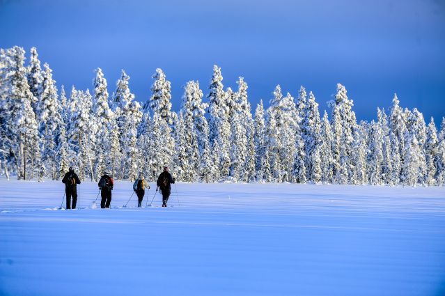 Finlande : Terres Polaires