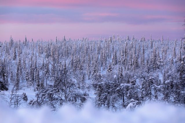 Région d Inari-Saariselkä - Laponie - Finlande