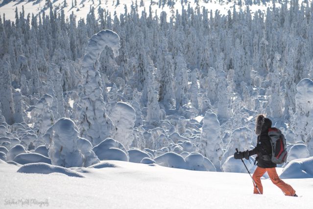 Voyage Raid ski pulka en Laponie finlandaise
