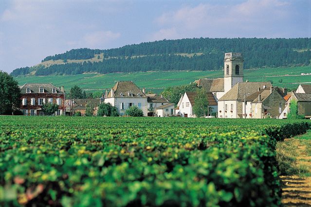 Voyage Bourgogne authentique, la route des vins à vélo 2