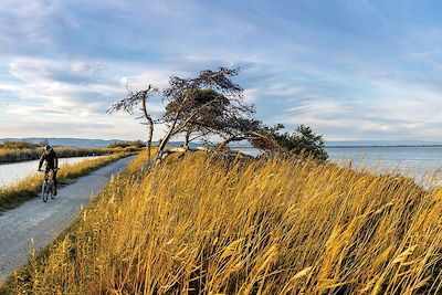 Voyage Forêts, collines, rivières et lacs France