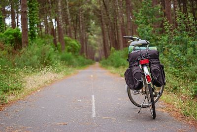 © La Vélodyssée / Aurélie Stapf - La Vélodyssée - Forêt des Landes - France La Vélodyssée - Forêt des Landes - France