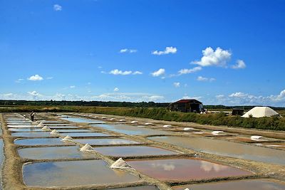 © Pierre-Olivier Grolleau - Vélodyssée - Marais - Île d'Olonne - France Vélodyssée - Marais - Île d'Olonne - France