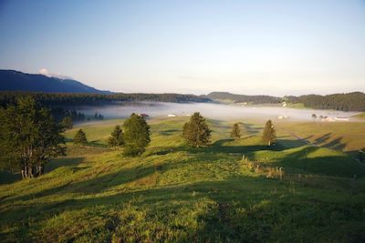 © Freddy Cattani - Bellecombe - France Bellecombe - France