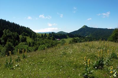 © Freddy Cattani - La Pesse - France La Pesse - France