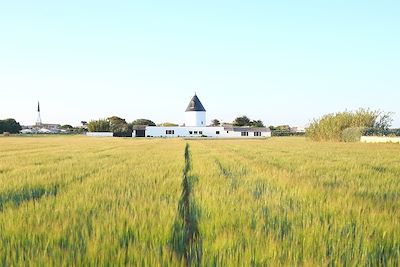 Le Sénéchal - Ile de Ré - France