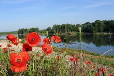 Voyage Boucle secrète entre Indre, Cher et Loire à vélo 3