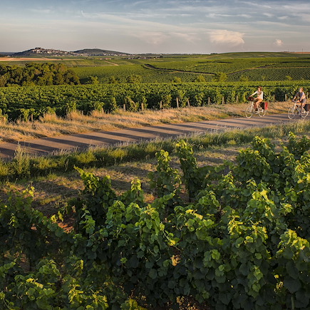 Vélo France Vallée de la Loire